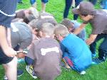 Bild52