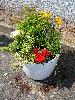 Bild8