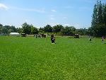 Bild13