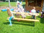 Bild12