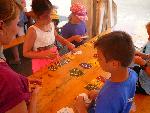 Bild17