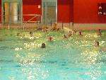 Bild5